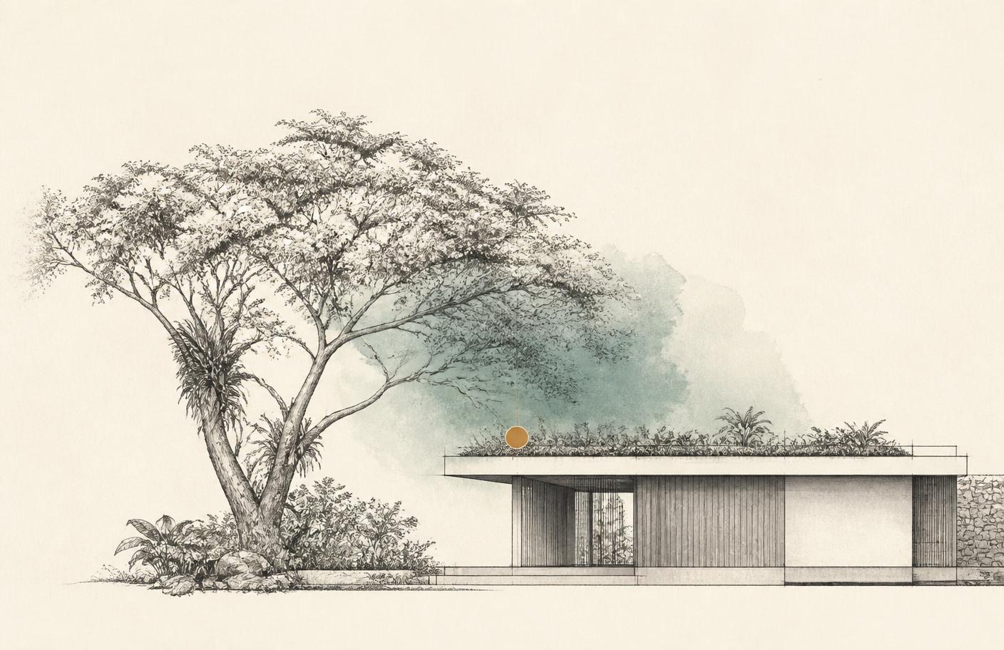 Where canopy meets envelope